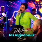 Los Algodones (Live)