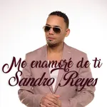 Me enamoré de ti