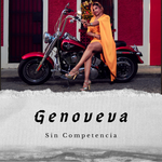 Sin Competencia