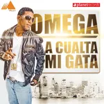 A cualta mi gata