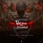 Un pedacito de Navidad