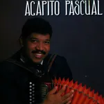 El Pajaro Pelu
