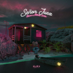 Señor juez
