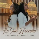 Lo Que Necesito