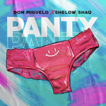 Panty