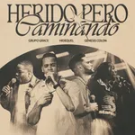 Herido Pero Caminando