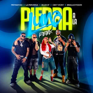 Piedra a la Luna (Remix) [feat. Ceky Viciny & Braulio Fogon]