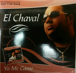 Ya me cansé